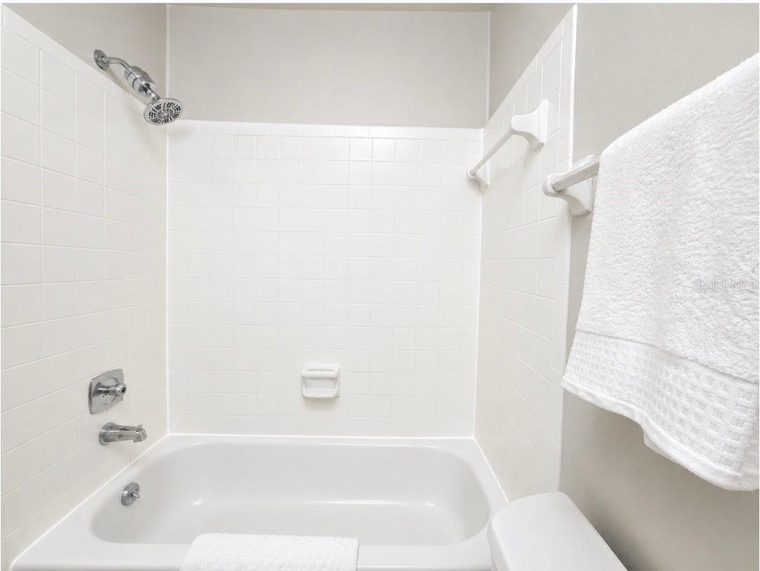 2935 Lichen Lane #C Clearwater FL 33760 TB8517117 image34