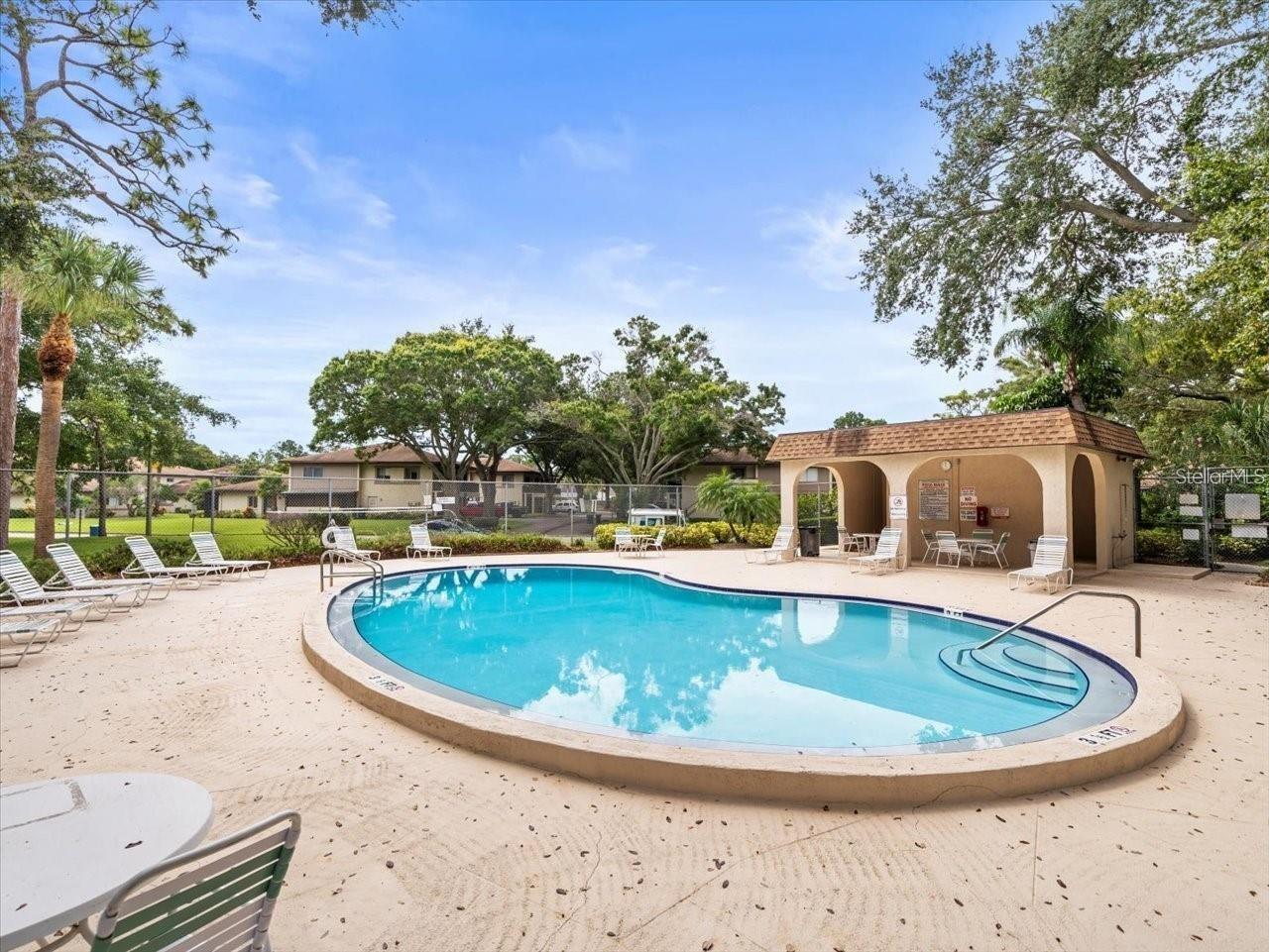 2935 Lichen Lane #C Clearwater FL 33760 TB8517117 image44
