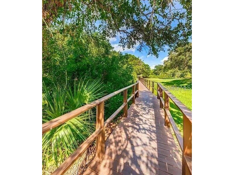 2935 Lichen Lane #C Clearwater FL 33760 TB8517117 image49