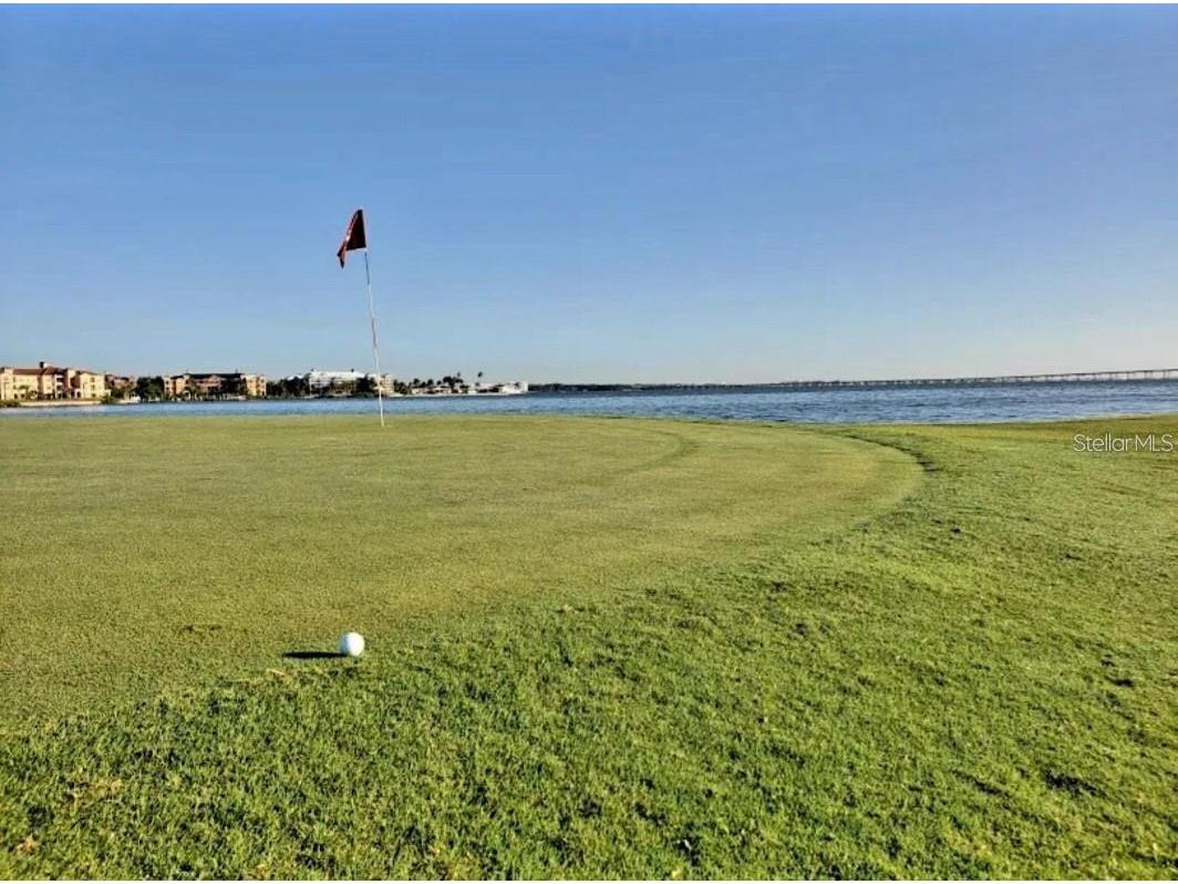 2935 Lichen Lane #C Clearwater FL 33760 TB8517117 image5