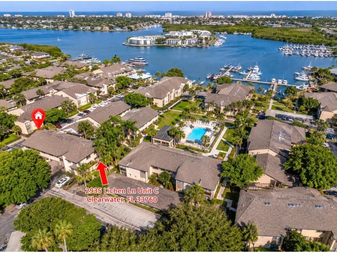 2935 Lichen Lane #C Clearwater FL 33760 TB8517117 image50