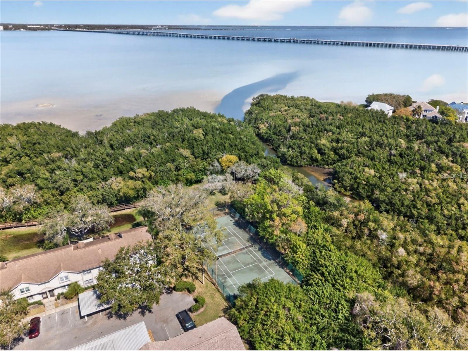 2935 Lichen Lane #C Clearwater FL 33760 TB8517117 image51