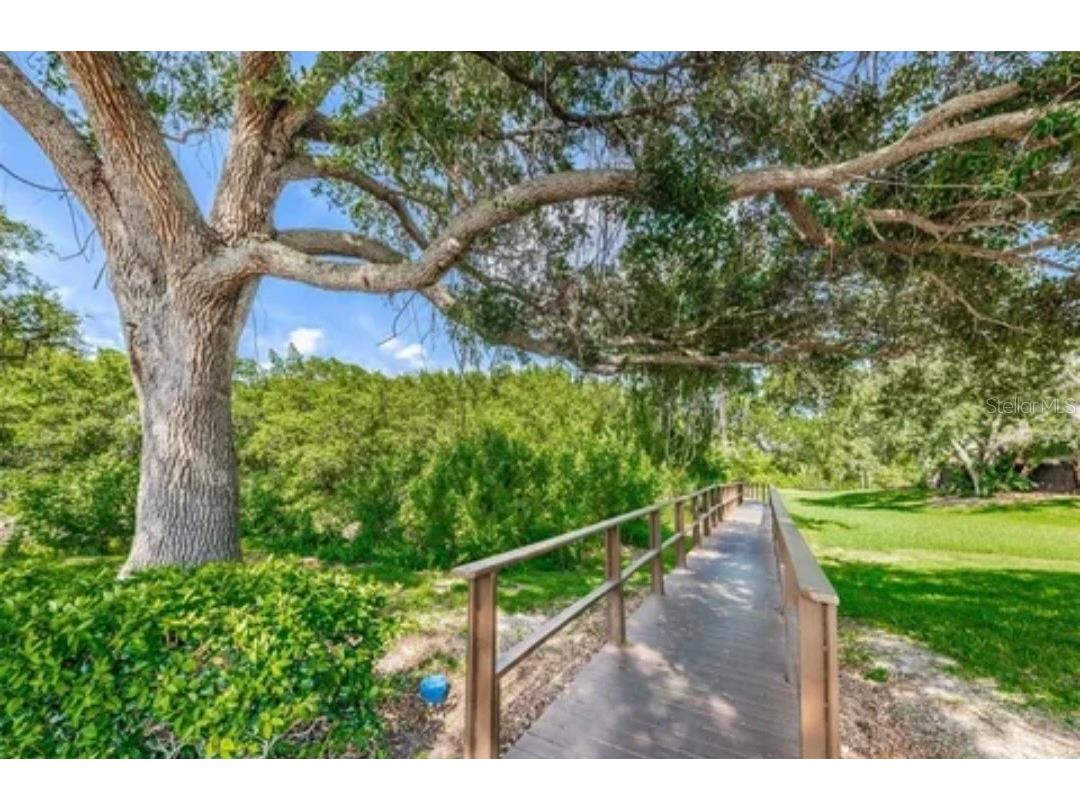 2935 Lichen Lane #C Clearwater FL 33760 TB8517117 image54