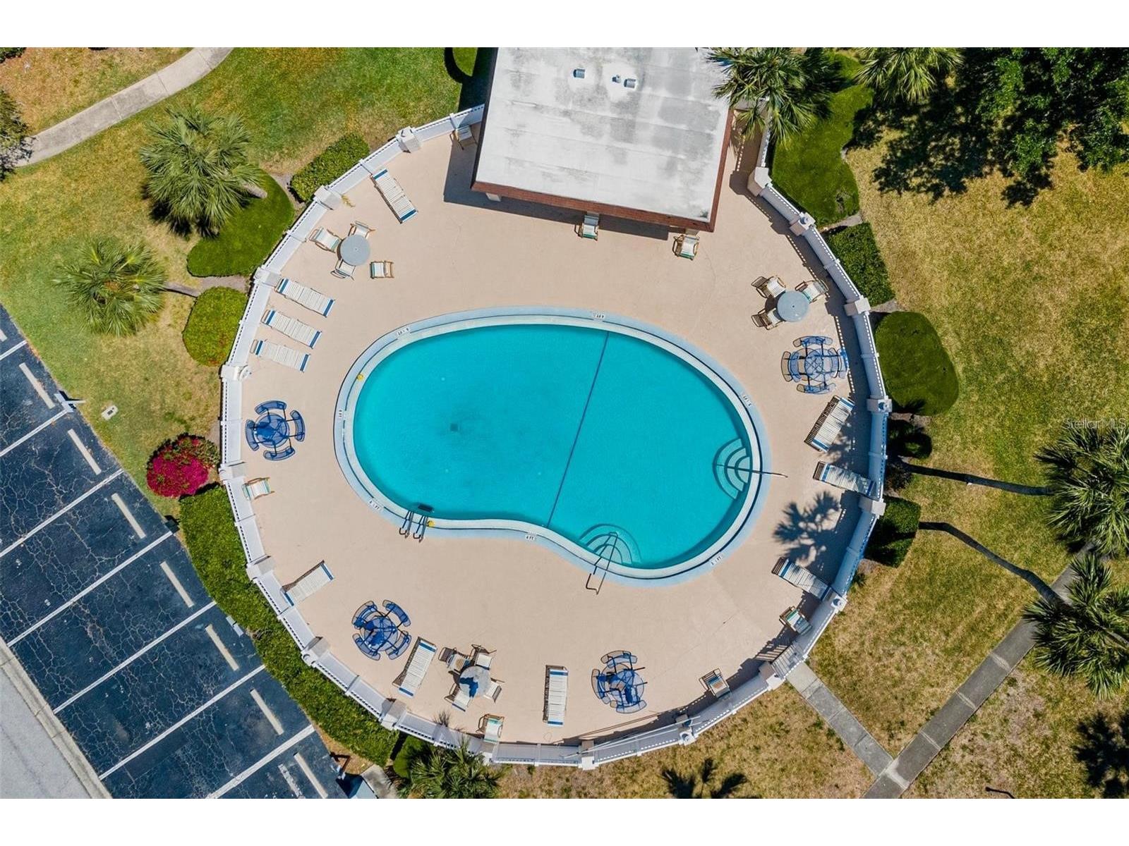 2935 Lichen Lane #C Clearwater FL 33760 TB8517117 image56