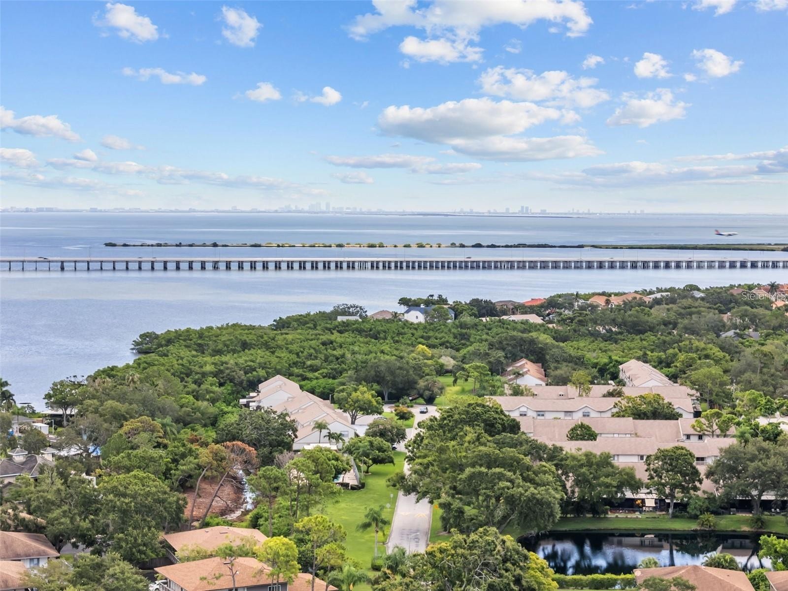 2935 Lichen Lane #C Clearwater FL 33760 TB8517117 image60