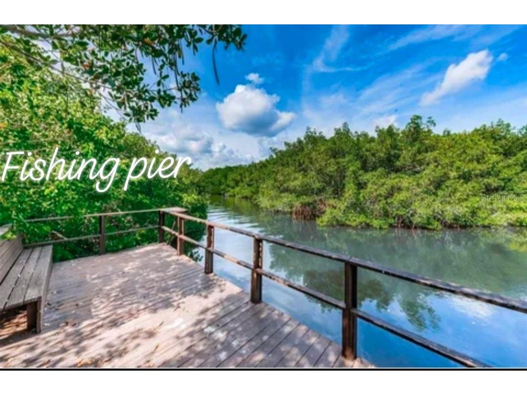 2935 Lichen Lane #C Clearwater FL 33760 TB8517117 image7