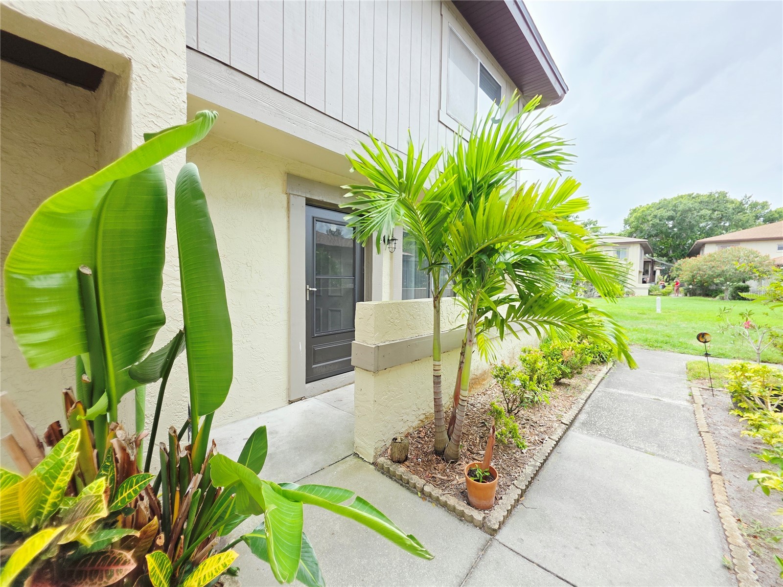 2935 Lichen Lane #C Clearwater FL 33760 TB8517117 image8