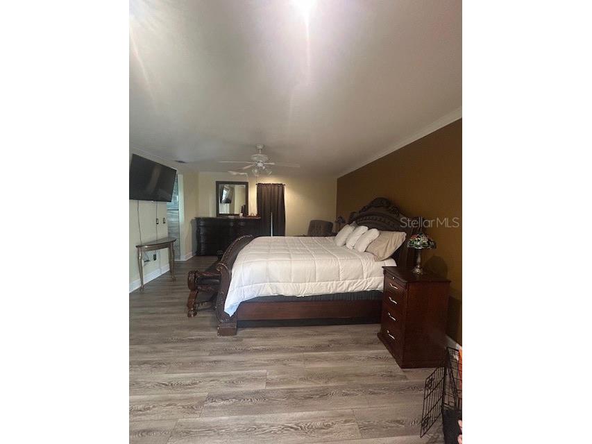 2935 Plantation Road Winter Haven FL 33884 L4959891 image19