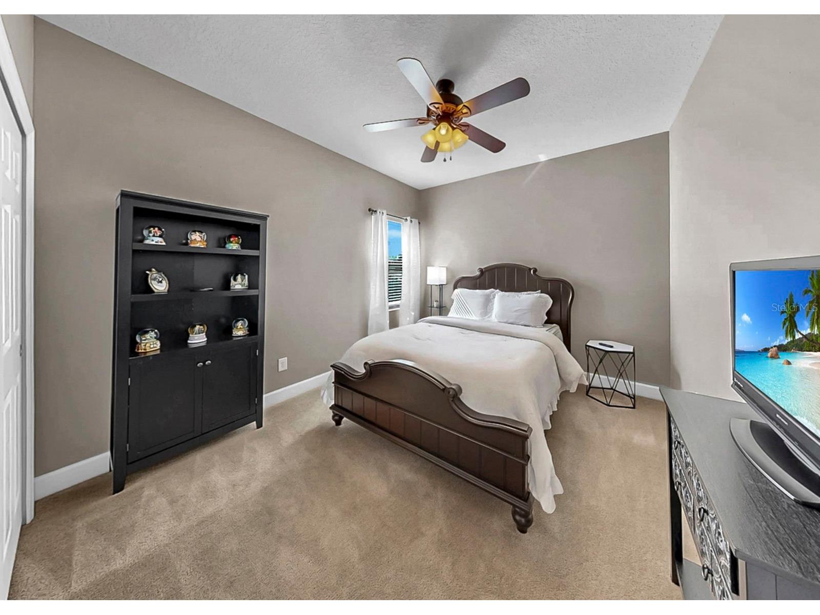 2935 Shetland Ridge Drive Valrico FL 33596 TB8475471 image22