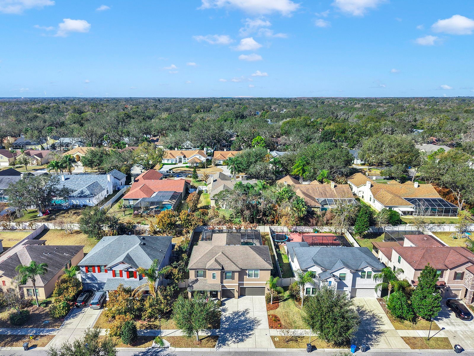 2935 Shetland Ridge Drive Valrico FL 33596 TB8475471 image69