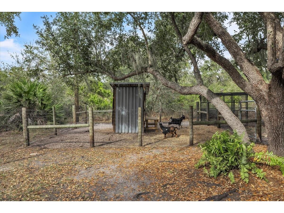 29350 Goodhue Street Punta Gorda FL 33982 C7520415 image21