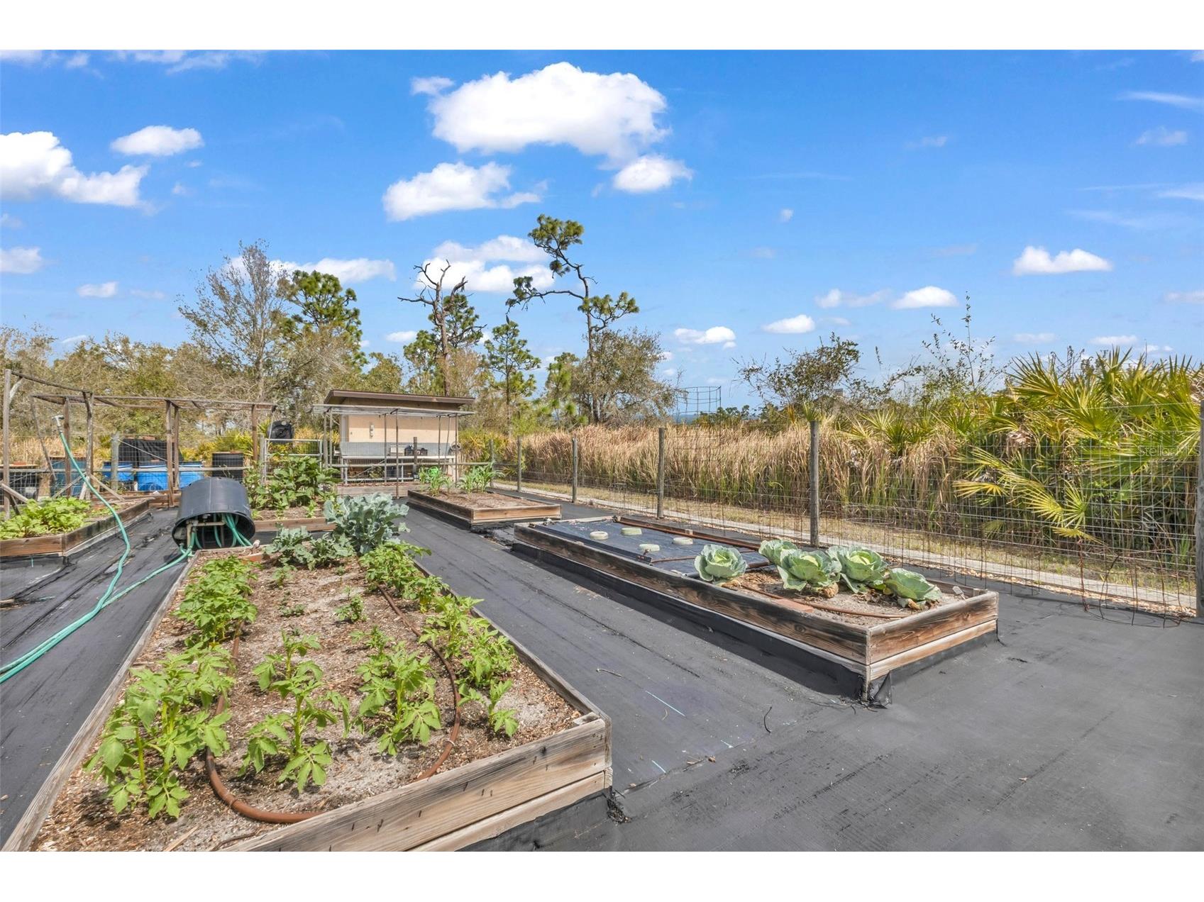 29350 Sam Way Punta Gorda FL 33982 C7527044 image59