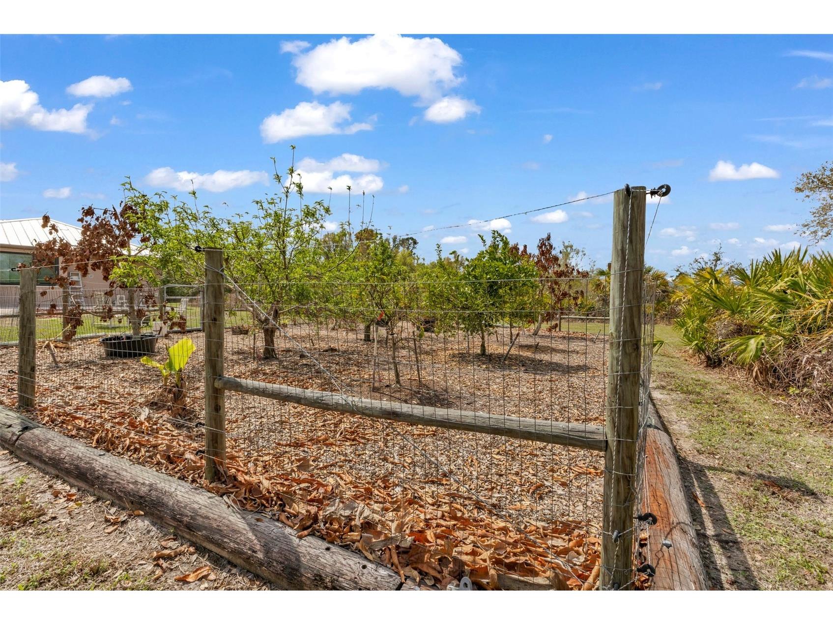 29350 Sam Way Punta Gorda FL 33982 C7527044 image64