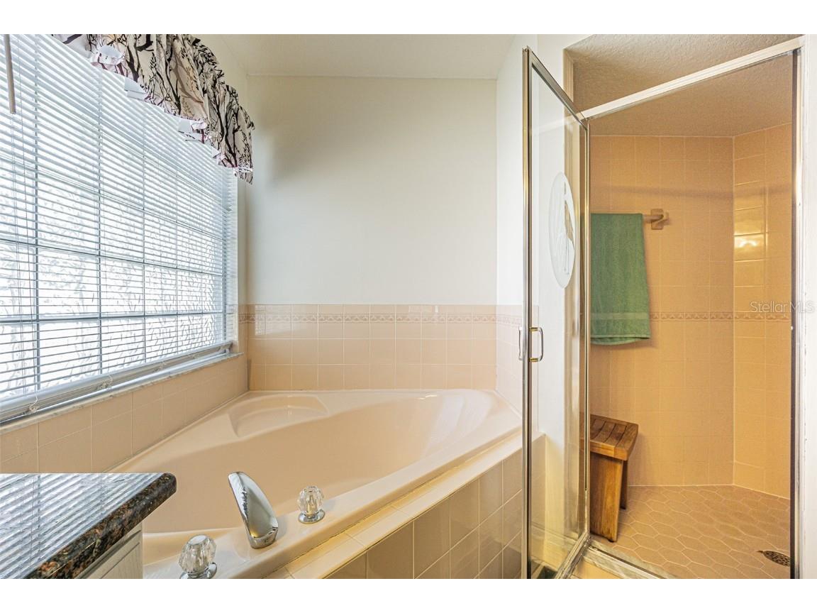 29350 Zeller Avenue San Antonio FL 33576 TB8430740 image23