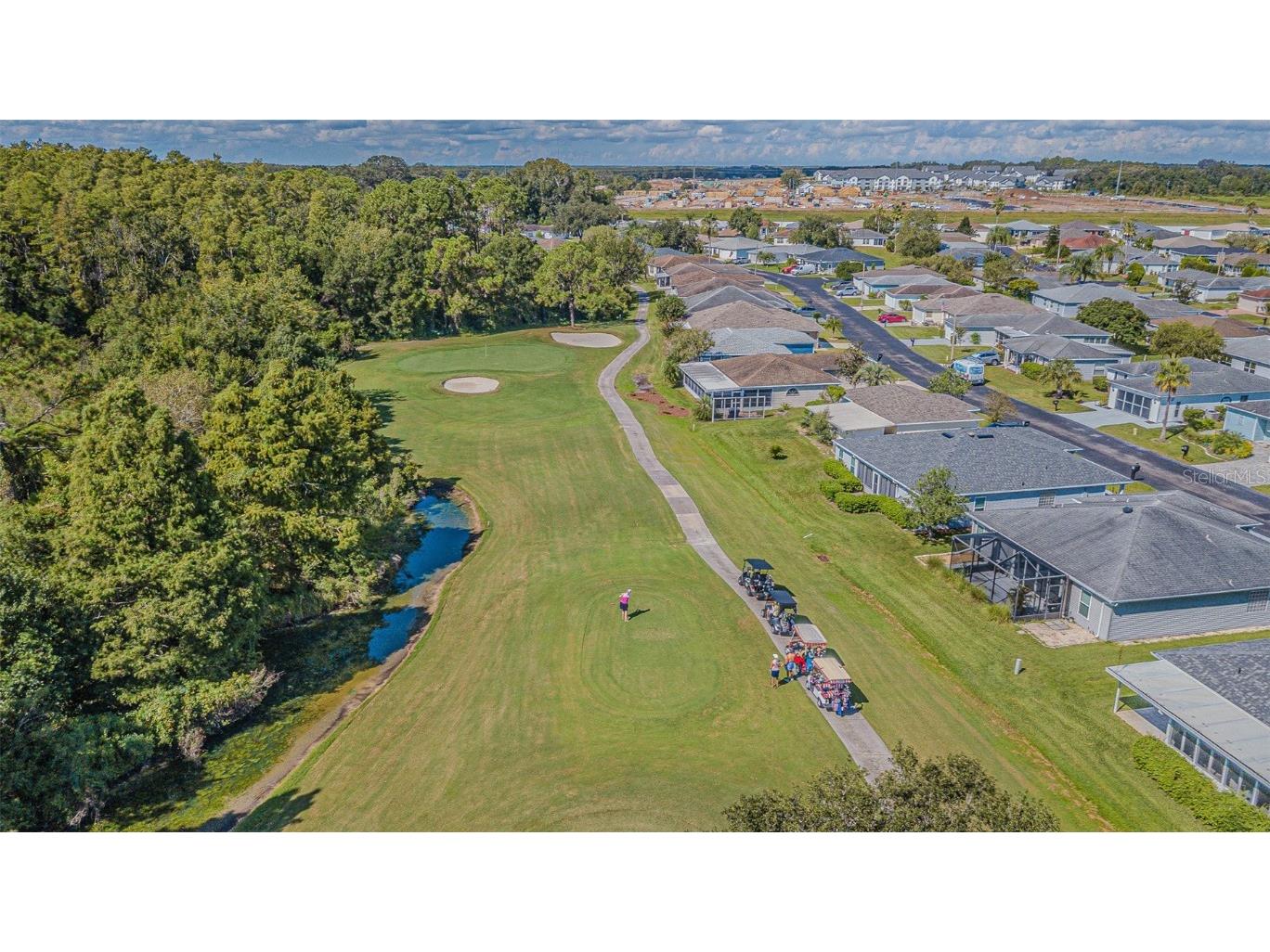 29350 Zeller Avenue San Antonio FL 33576 TB8430740 image34