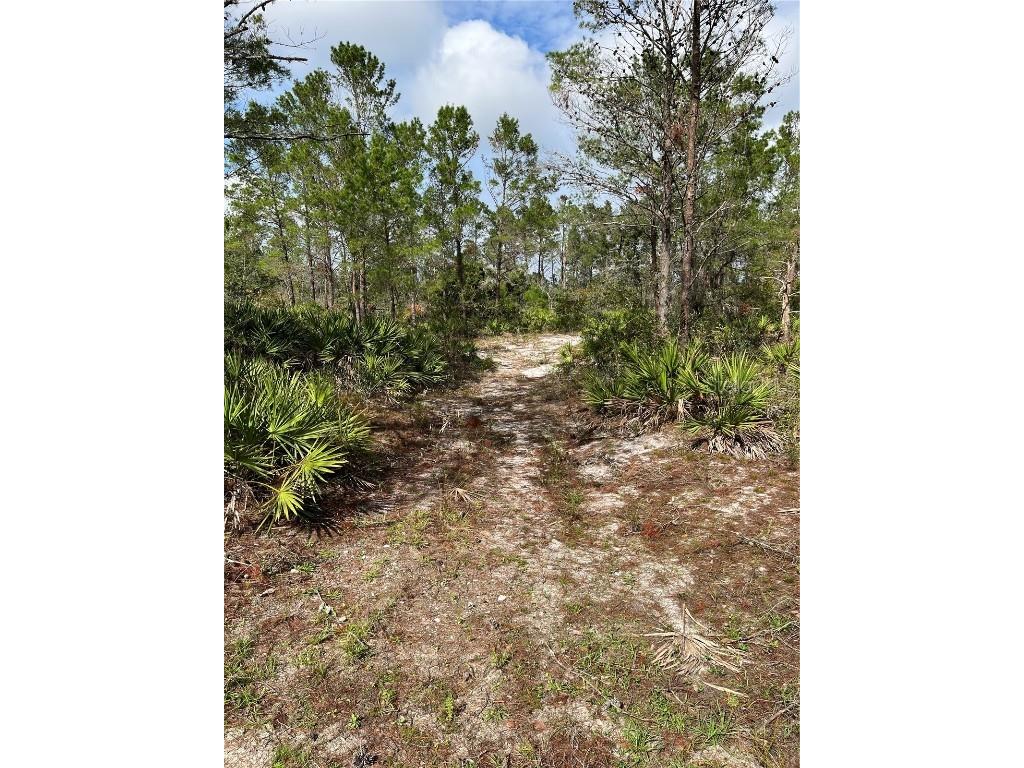 29351 Betts Road Myakka City FL 34251 A4554897 image1