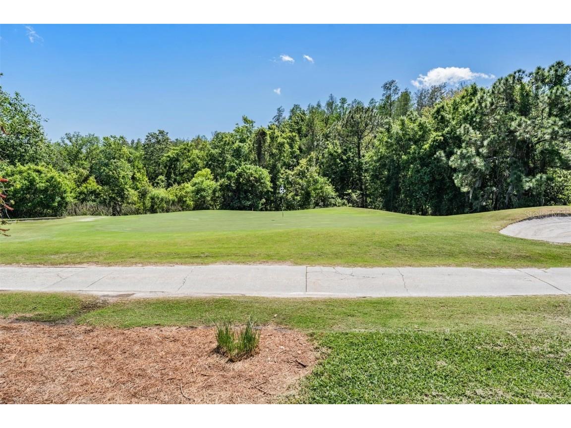 29352 Princeville Drive, San Antonio, FL, 33576 MLS T3514765 Edina