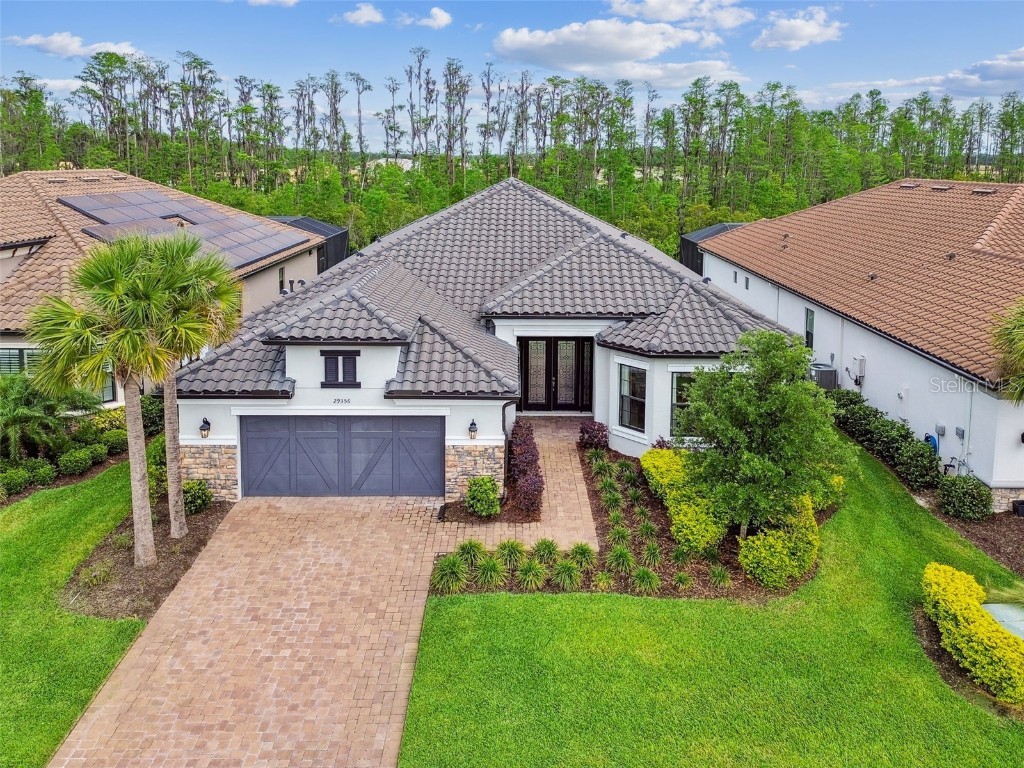 29356 Ginnetto Drive Wesley Chapel FL 33543 TB8372871 image1