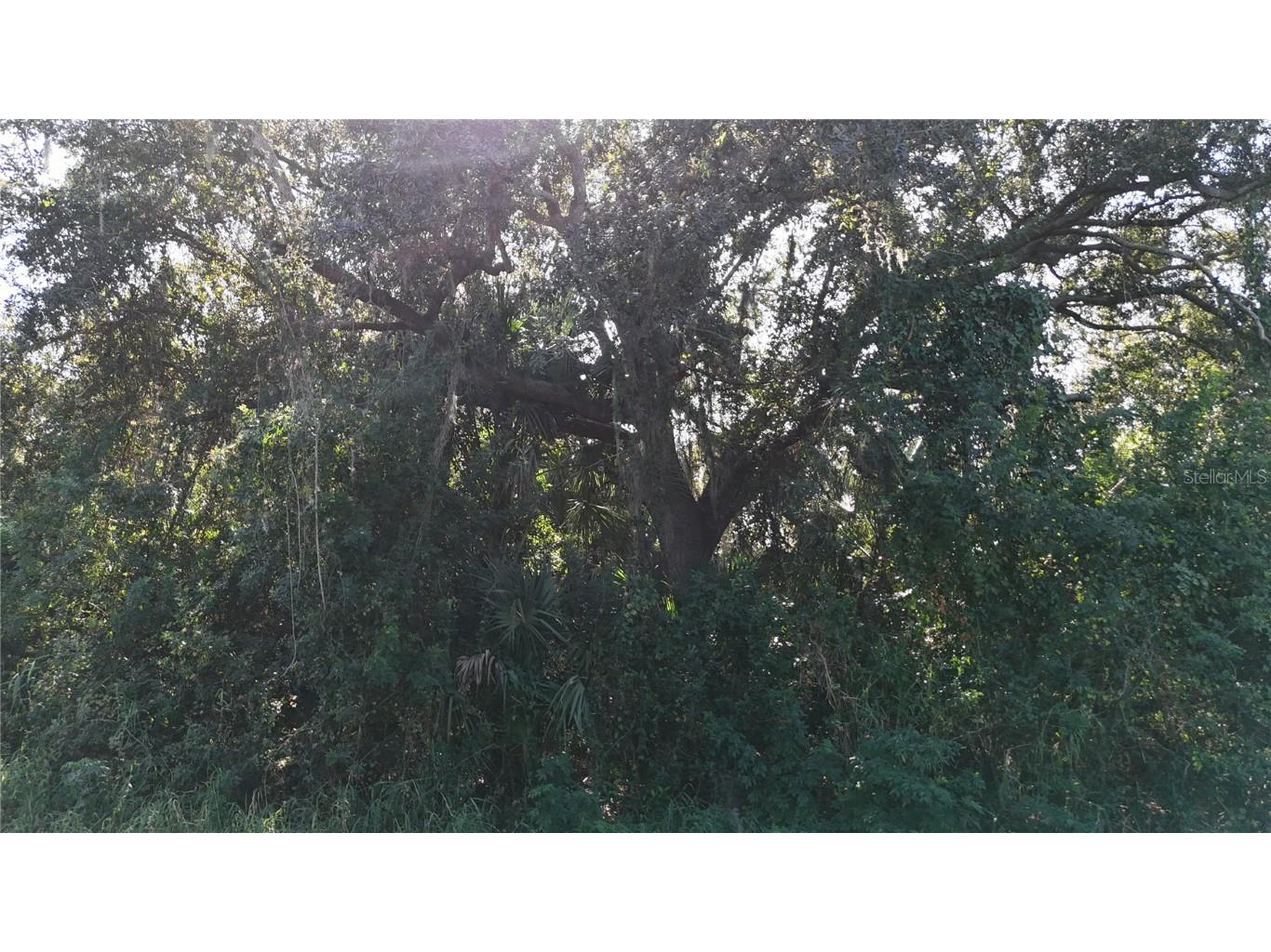 29359 Nottingham Road Punta Gorda FL 33982 OM714623 image12