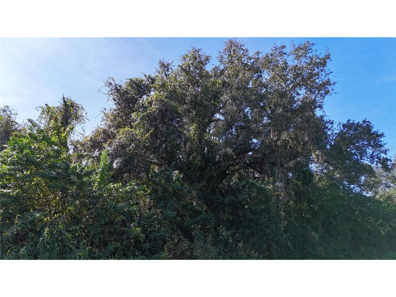 29359 Nottingham Road Punta Gorda FL 33982 OM714623 image17