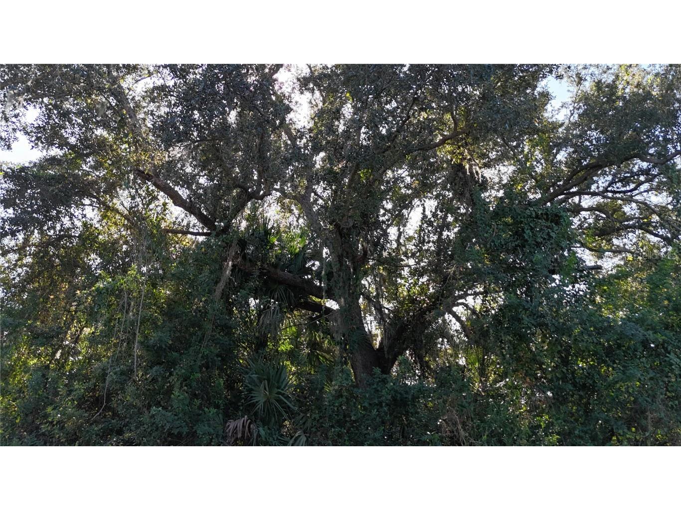 29359 Nottingham Road Punta Gorda FL 33982 OM714623 image19