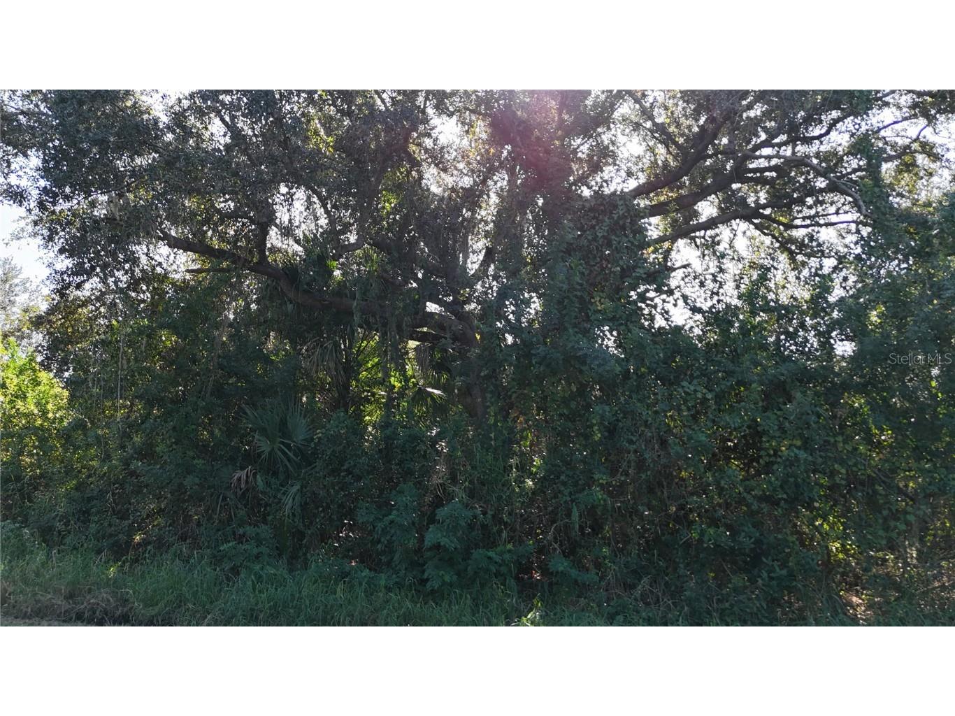 29359 Nottingham Road Punta Gorda FL 33982 OM714623 image8