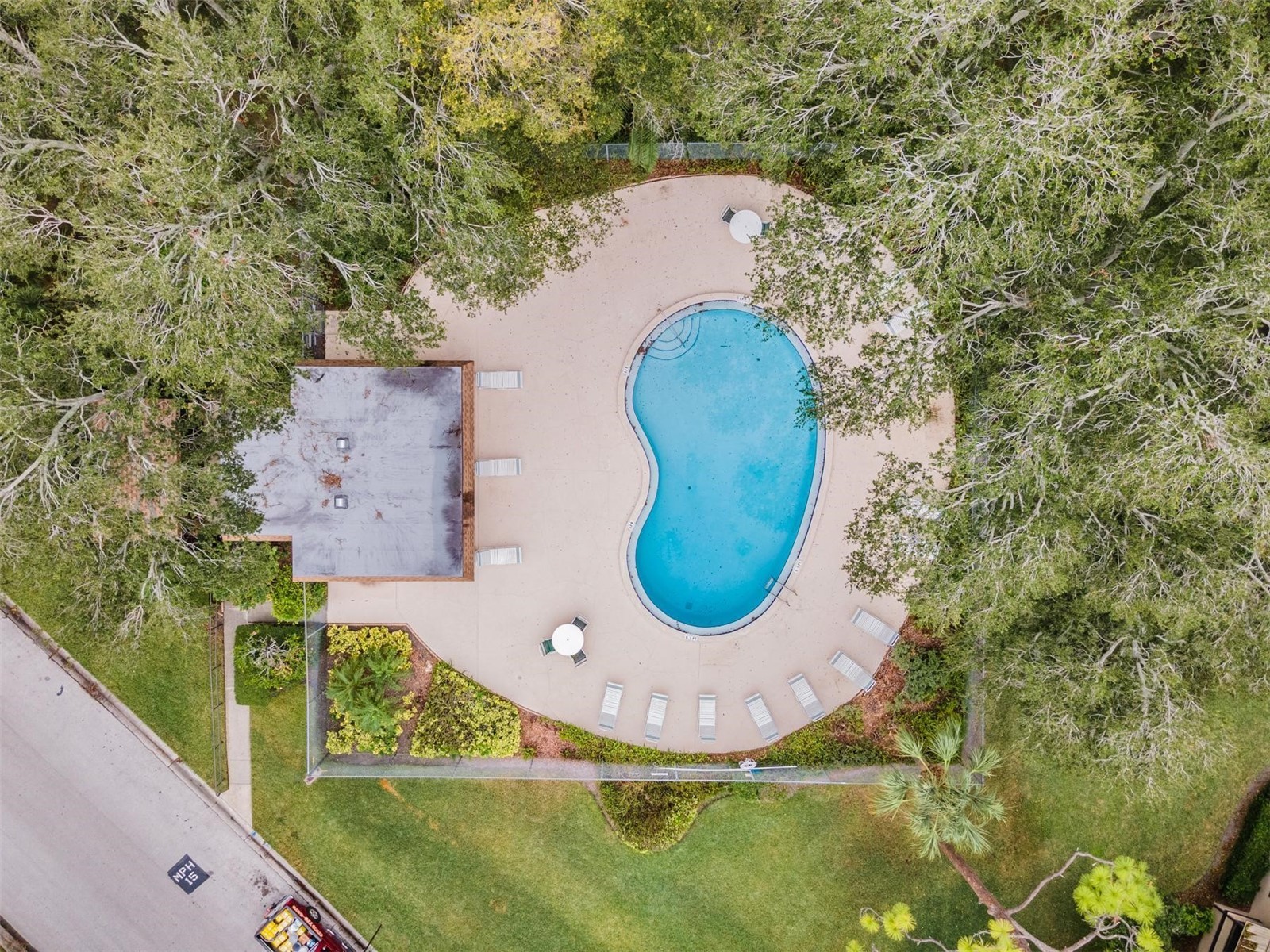 2936 Lichen Lane #B Clearwater FL 33760 TB8521437 image18