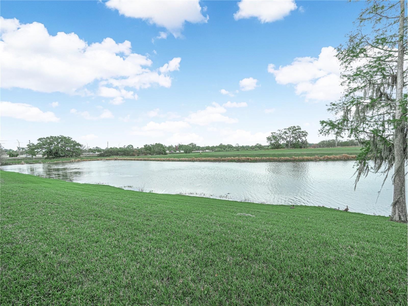 2936 Mission Lakes Drive #0 Lakeland FL 33803 L4960269 image26