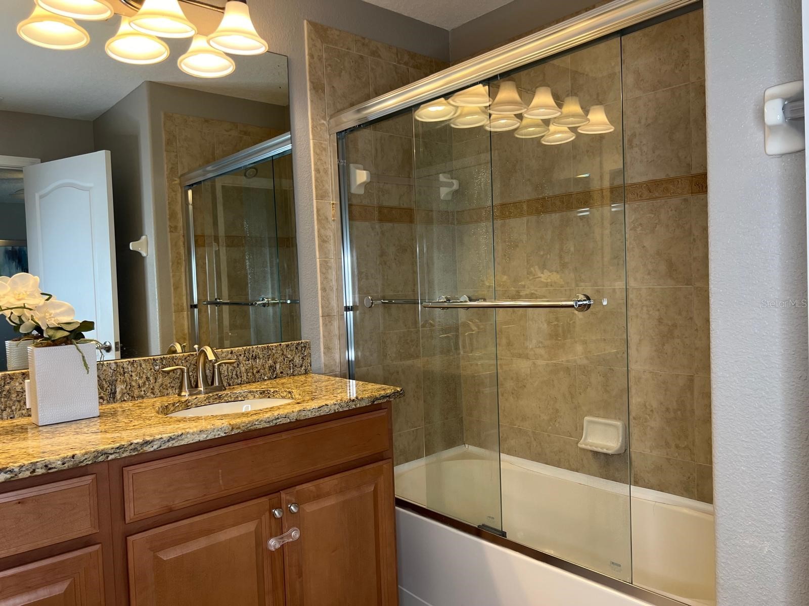 2937 Banana Palm Drive Kissimmee FL 34747 O6350664 image20