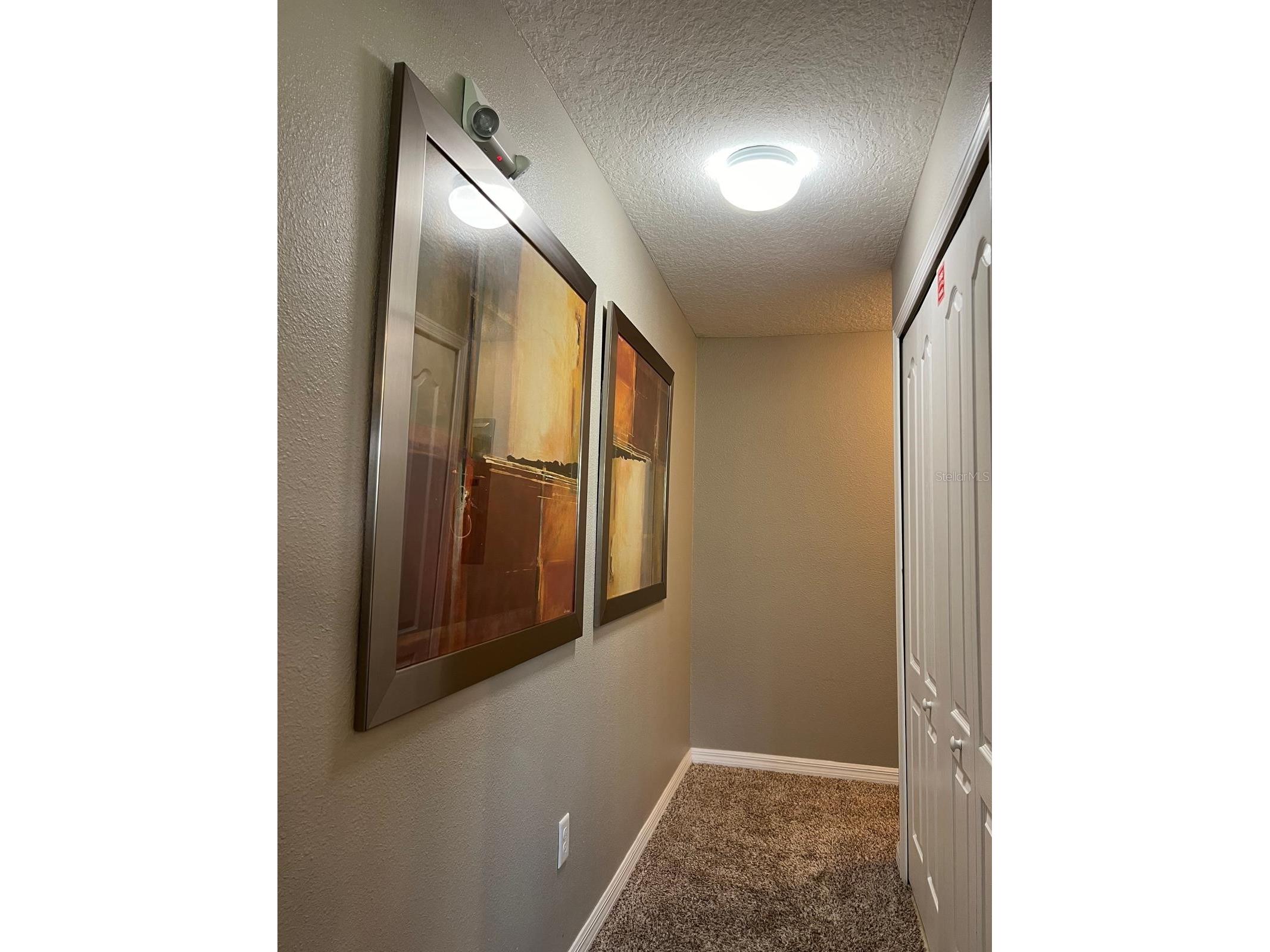 2937 Banana Palm Drive Kissimmee FL 34747 O6350664 image21