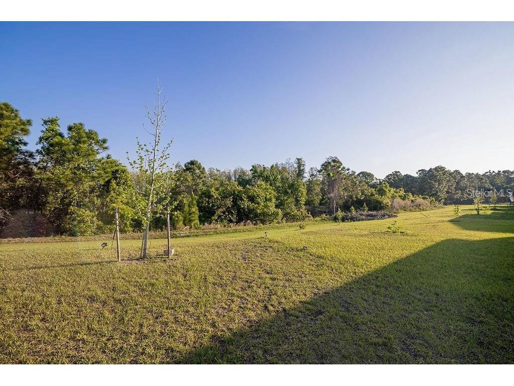 2937 Hooded Crane Cove Harmony FL 34773 S5135497 image28