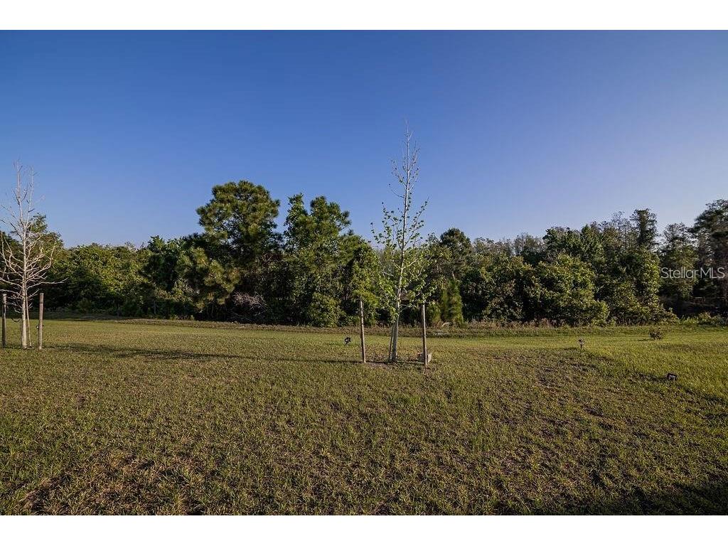 2937 Hooded Crane Cove Harmony FL 34773 S5135497 image29