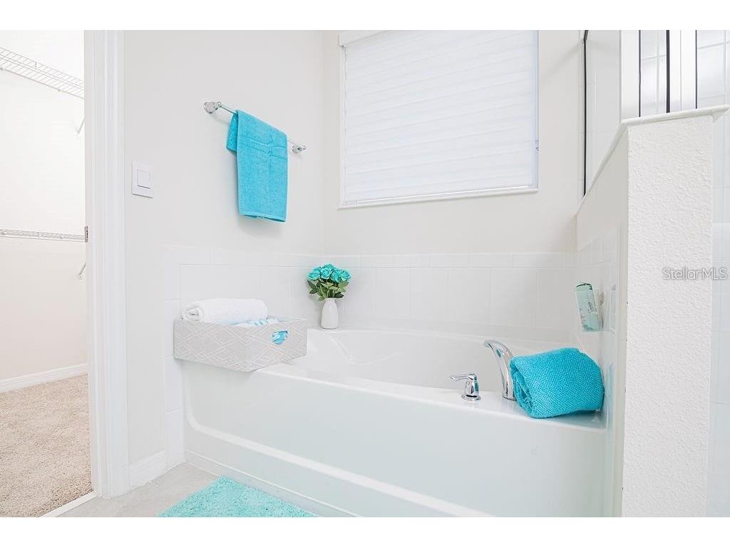 2937 Hooded Crane Cove Harmony FL 34773 S5135497 image34