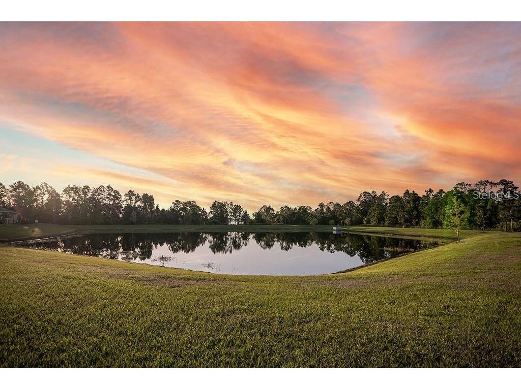 2937 Hooded Crane Cove Harmony FL 34773 S5135497 image4