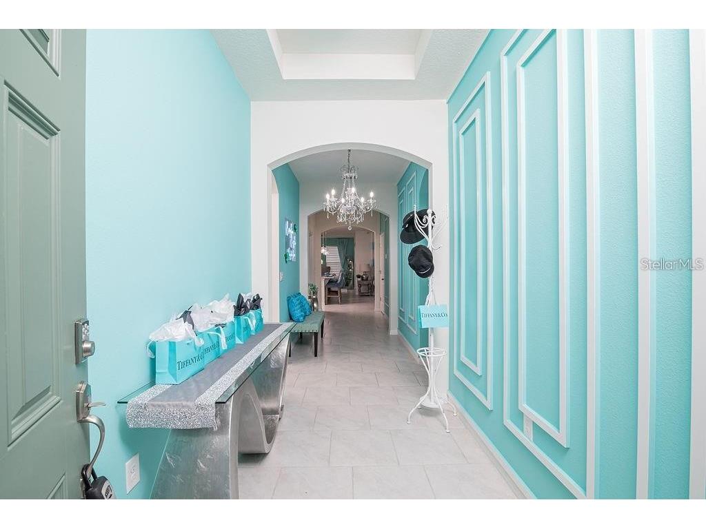 2937 Hooded Crane Cove Harmony FL 34773 S5135497 image8