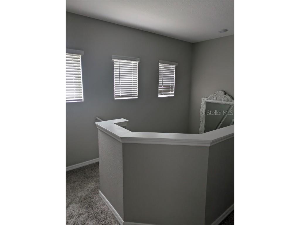 2937 Meleto Boulevard New Smyrna Beach FL 32168 NS1083024 image6