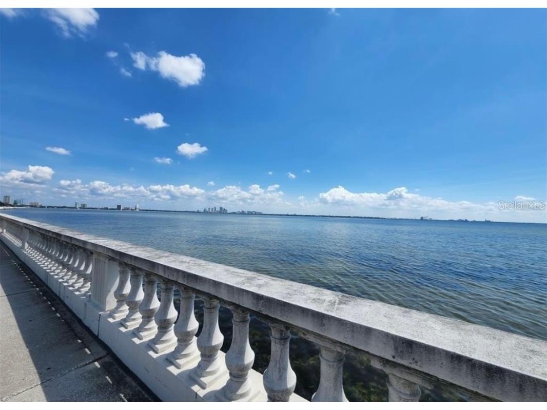 2937 W Coachman Avenue Tampa FL 33611 TB8447275 image2