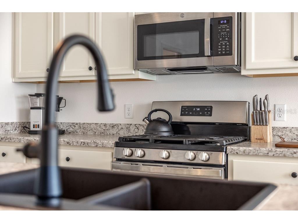 2938 Chimborazo Way The Villages FL 32163 G5106924 image11