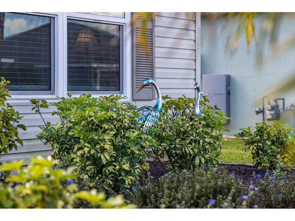 2938 Chimborazo Way The Villages FL 32163 G5106924 image6