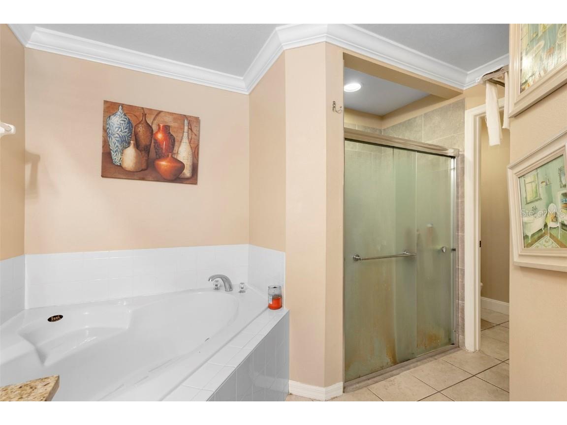 2938 Fairweather Way Kissimmee FL 34758 O6364357 image21