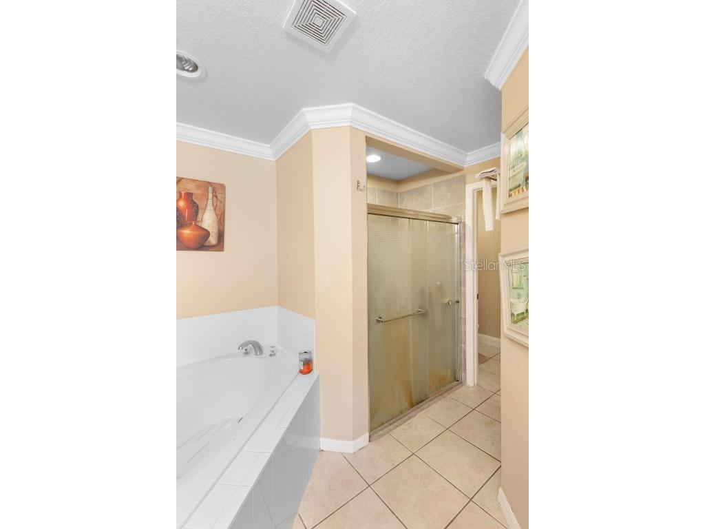 2938 Fairweather Way Kissimmee FL 34758 O6364357 image22