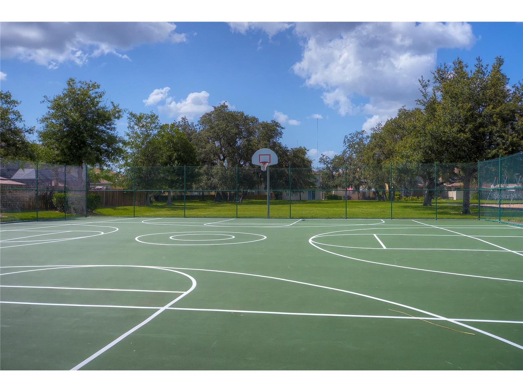 2938 Lochcarron Drive Land O Lakes FL 34638 TB8503585 image45