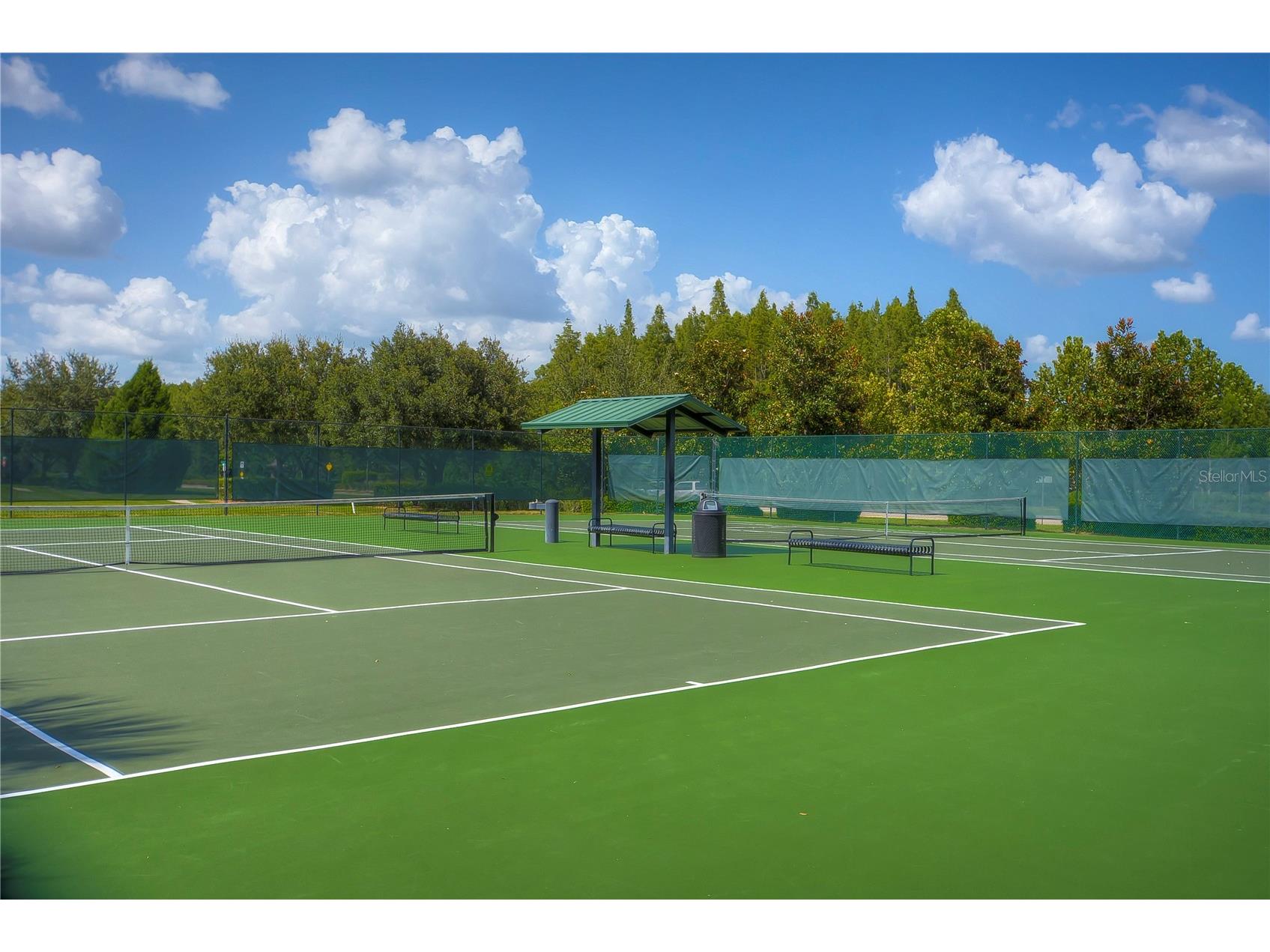 2938 Lochcarron Drive Land O Lakes FL 34638 TB8503585 image47