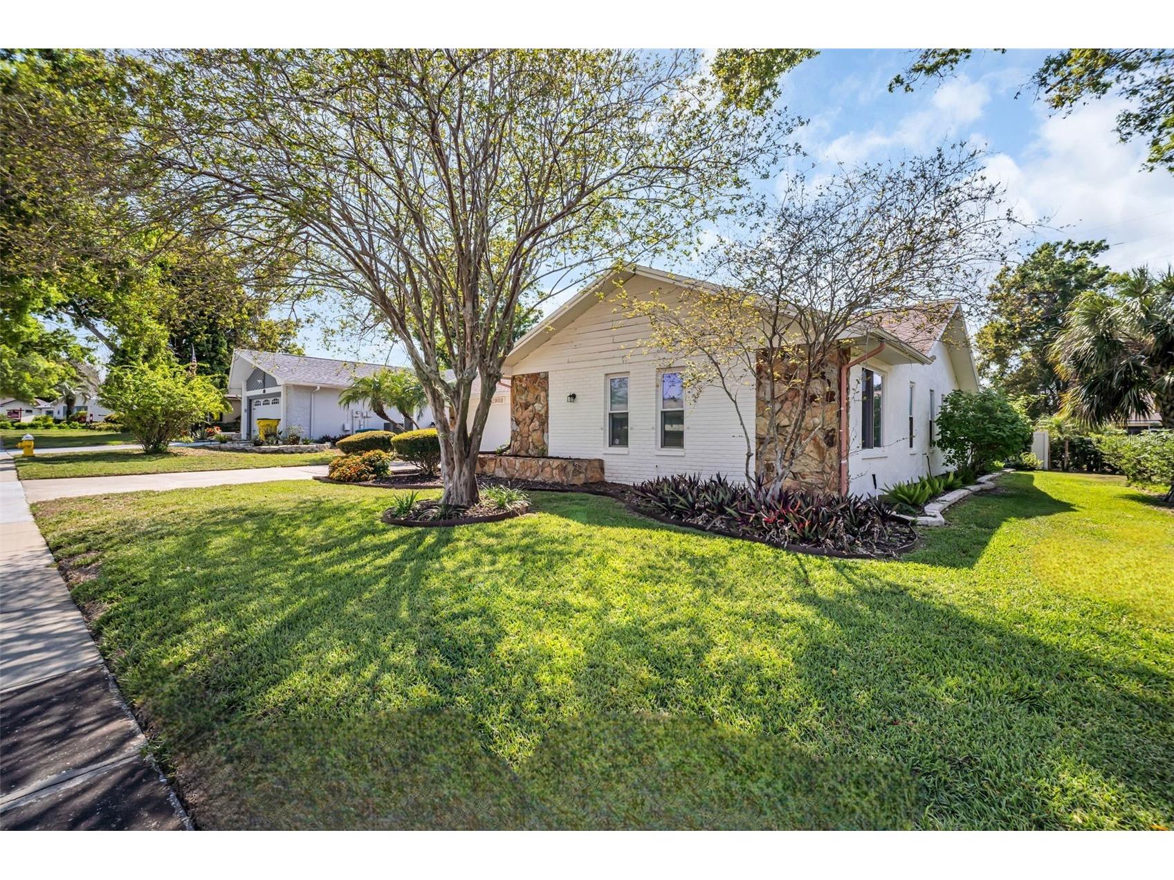2938 Macalpin Drive W Palm Harbor FL 34684 - LAKE TARPON TB8491531 image2