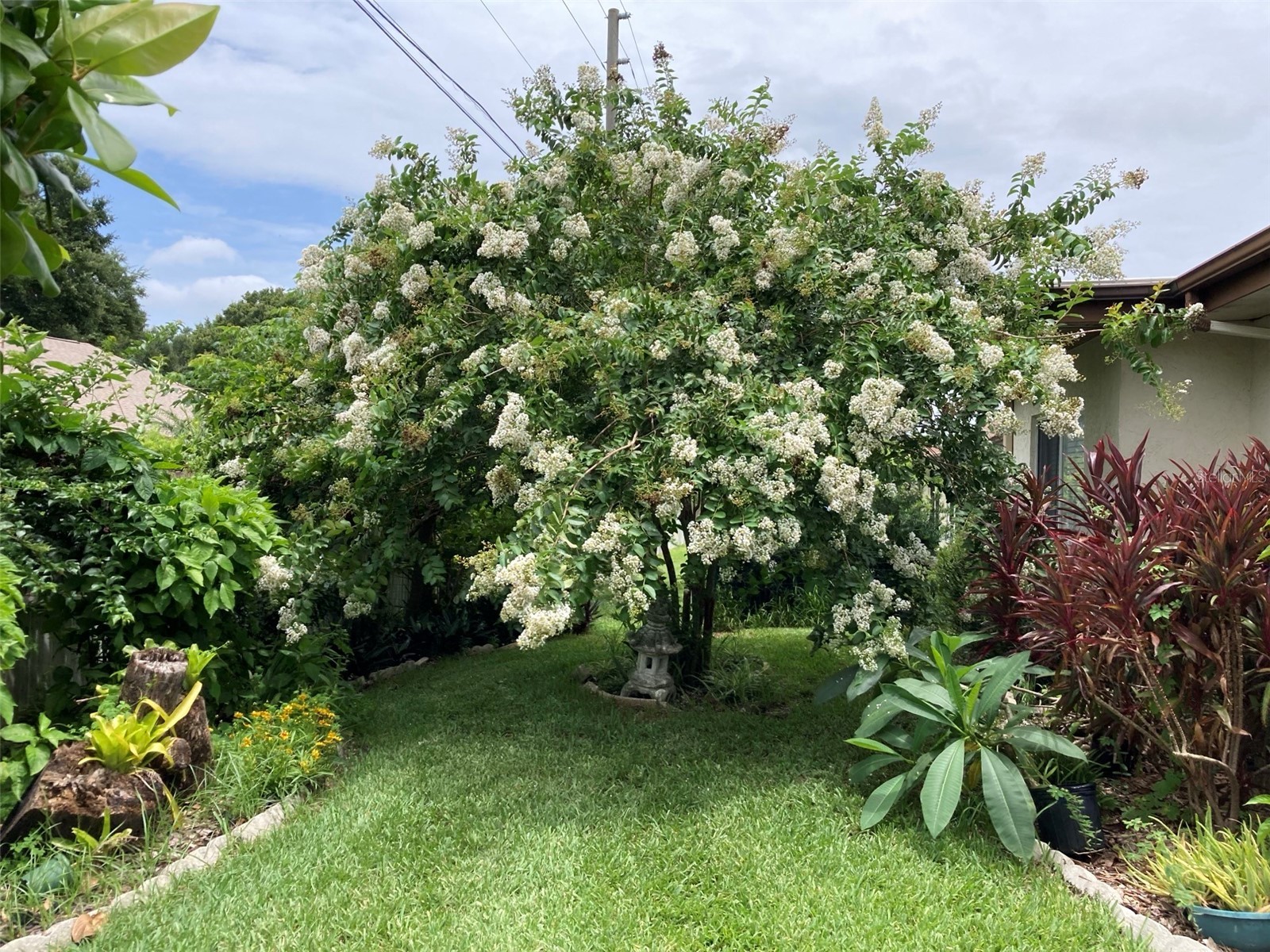 2938 Macalpin Drive W Palm Harbor FL 34684 - LAKE TARPON TB8491531 image44