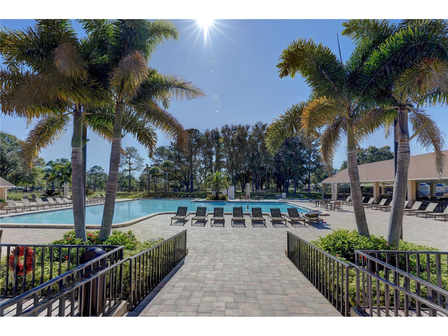 2938 Macalpin Drive W Palm Harbor FL 34684 - LAKE TARPON TB8491531 image51