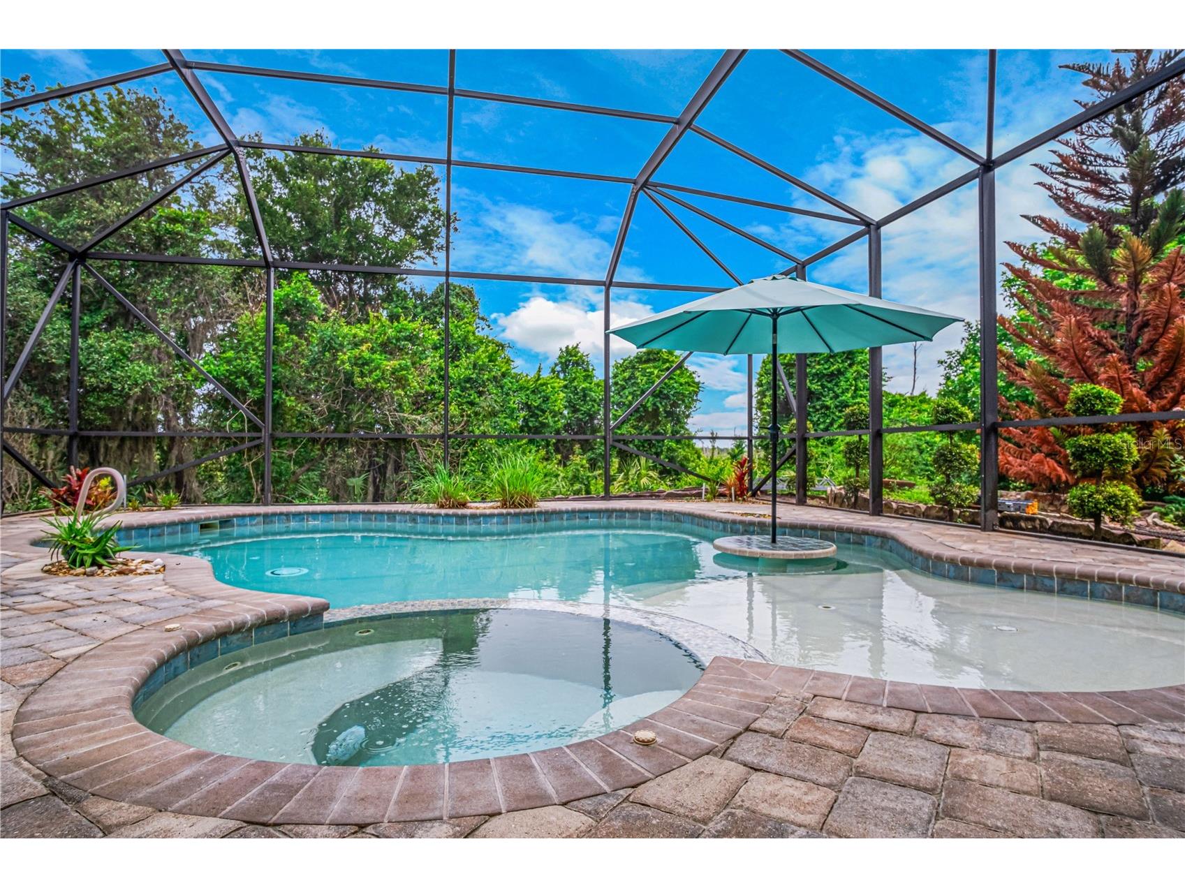 2938 Sereno Pointe Drive Titusville FL 32796 V4949476 image38