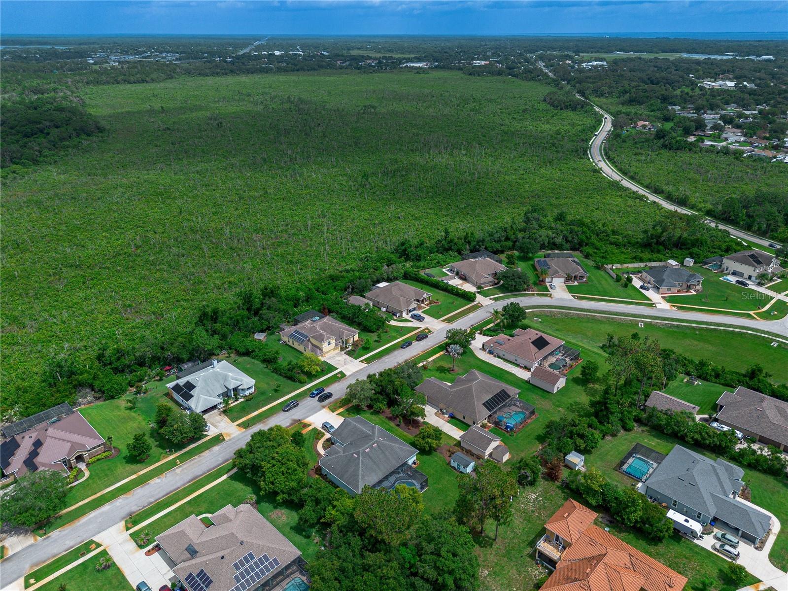 2938 Sereno Pointe Drive Titusville FL 32796 V4949476 image54