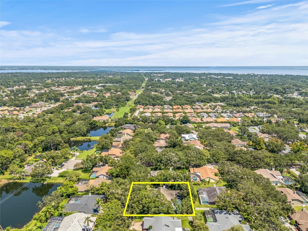 2939 Chancery Lane Clearwater FL 33759 TB8427079 image69