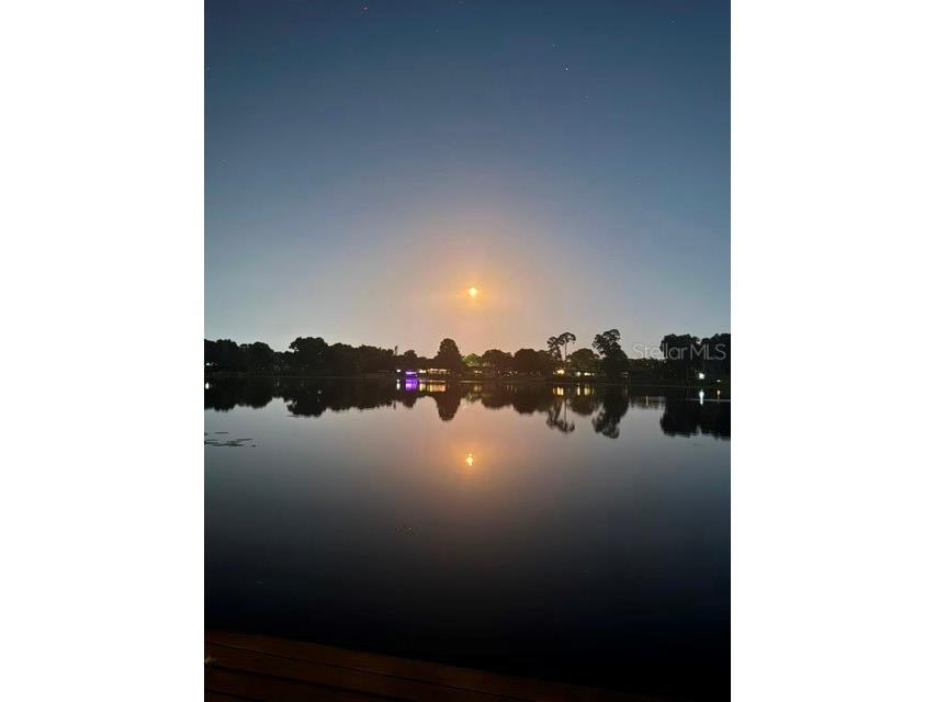 2939 Dawley Avenue Orlando FL 32806 - Bass Lake O6422640 image66